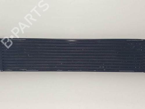 Used Intercooler Intercooler RENAULT LAGUNA II (BG0/1_) 2.2 dCi (140 hp) 19672566 19672566