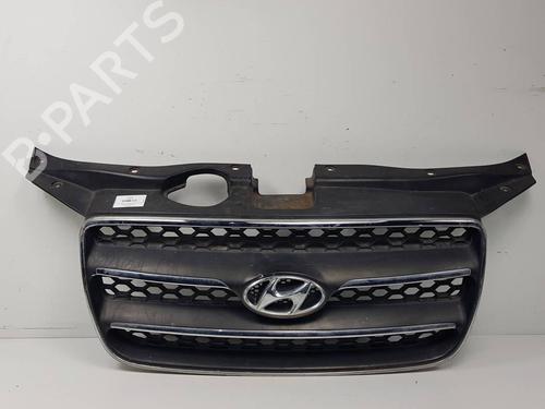 grille-hyundai-santa-fe-ii-cm-2005-2006-2007-2008-2009-2010-2011-2012-2013-2014-2015-34611282 main image