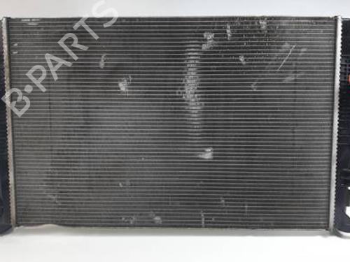 Used Water radiator RENAULT SCÉNIC III (JZ0/1_) 2.0 dCi (JZ0Y, JZ26) (150 hp) 30450667