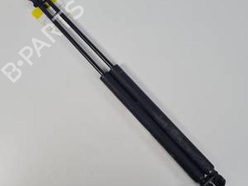 Used Hood lift support PEUGEOT 307 (3A/C) 1.6 HDi (90 hp) 13953213