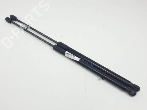 Used Tailgate lift support FORD FIESTA VI (CB1, CCN) 1.0 EcoBoost (100 hp) 25145995