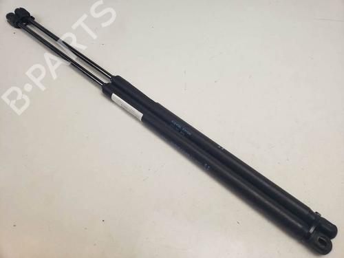 tailgate-lift-support-peugeot-1007-km_-2005-25145970 main image