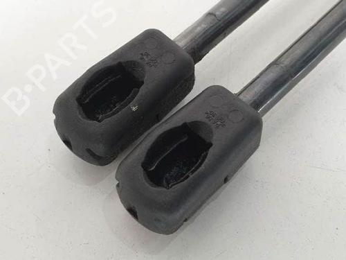 Tailgate lift support BMW 5 Touring (F11) 520 d | BP13954022C138 