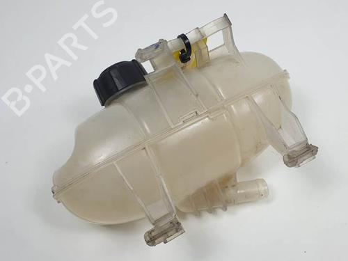 Expansion tank RENAULT TRAFIC III Van (FG_) 1.6 dCi 120 (FGMB, FGMC) | BP11850337C120 