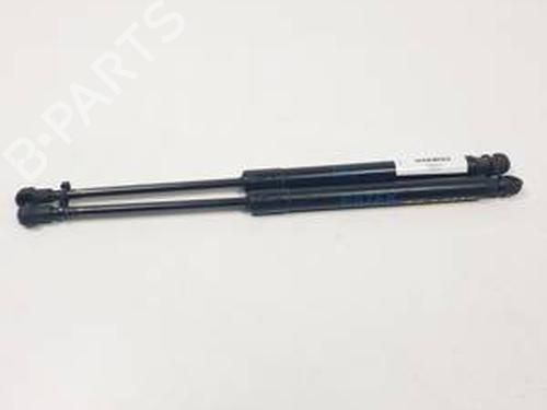 Amortiguador capot BMW 1 (E87) 118 d (143 hp) 30998390