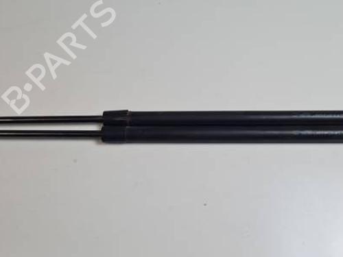 Used Tailgate lift support RENAULT SCÉNIC III (JZ0/1_) 2.0 dCi (JZ0Y, JZ26) (150 hp) 30525254
