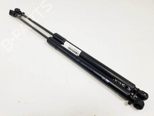 Used Tailgate lift support Tailgate lift support RENAULT CLIO IV (BH_) 1.5 dCi 75 (75 hp) 25121507 25121507