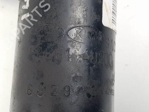 Right front shock absorber KIA CARNIVAL / GRAND CARNIVAL III (VQ) 2.9 CRDi | BP19278776M17 