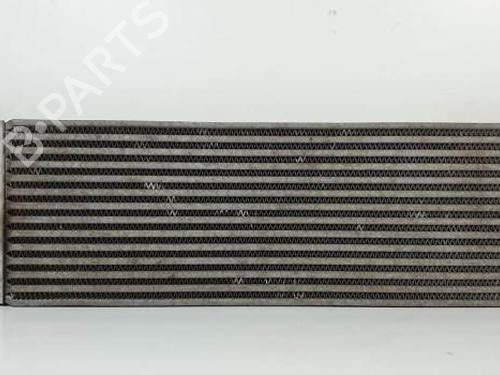 Used Intercooler RENAULT MEGANE II Coupé-Cabriolet (EM0/1_) 1.9 dCi (131 hp) 25285988