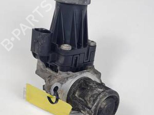 Used Egr FIAT DOBLO Bus (263_) 1.3 D Multijet (263AXC1A) (90 hp) 30450677