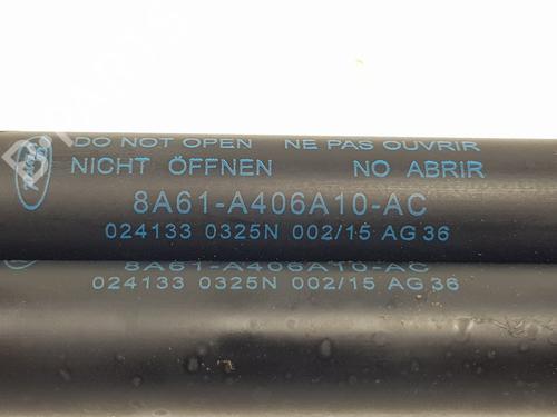 Tailgate lift support FORD FIESTA VI (CB1, CCN) 1.0 EcoBoost | BP15216806C138 