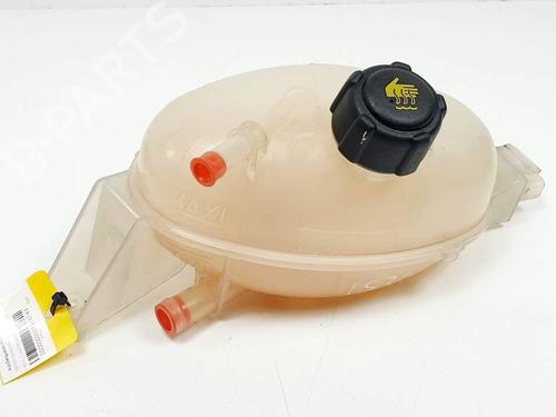 expansion-tank-renault-master-iii-van-fv-2010-25137951 main image