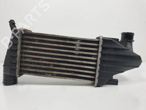 Used Intercooler Intercooler OPEL ASTRA H (A04) 1.7 CDTI (L48) (100 hp) 16495455 16495455