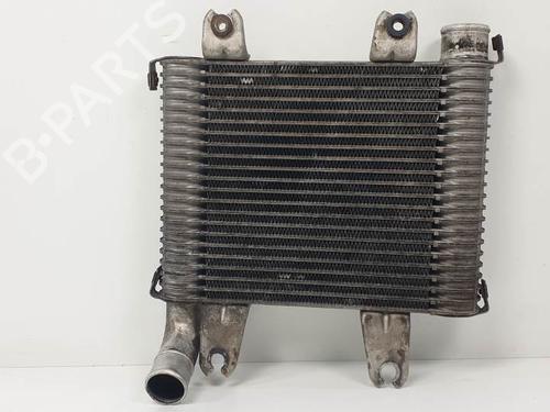 Intercooler KIA CARNIVAL II (GQ) 2.9 CRDi | BP10108608M30 