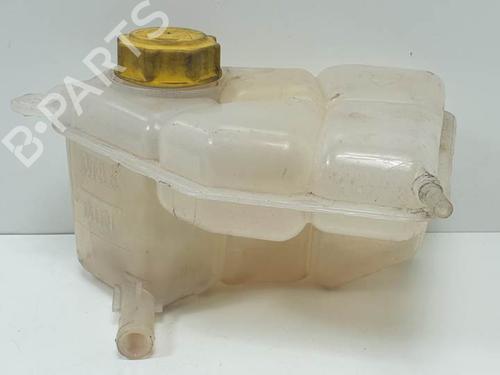 Ekspansjonstank FORD FUSION (JU_) 1.25 (75 hp) 12392337