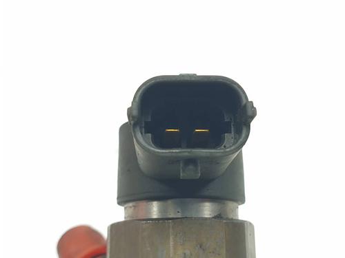 Injector VOLVO S80 II (124) D5 | BP29696820M100 