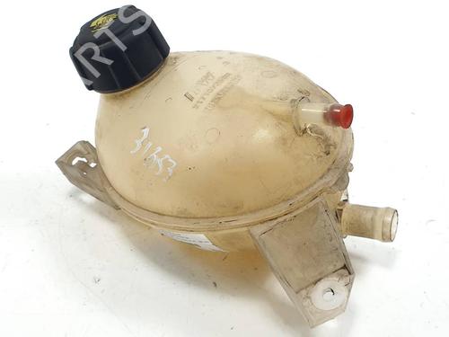 Used Expansion tank DACIA DOKKER MPV (KE_) 1.5 dCi (KEAJ, KEAH) (90 hp) 30191165