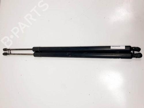 Used Tailgate lift support VW TRANSPORTER T5 Van (7HA, 7HH, 7EA, 7EH) 1.9 TDI (85 hp) 17520793
