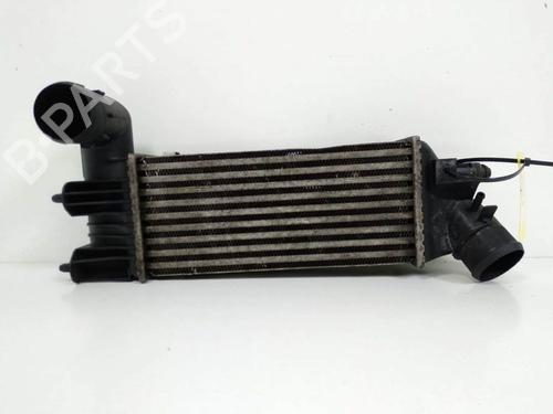 Used Intercooler Intercooler CITROËN C5 I (DC_) 2.2 HDi (DC4HXB, DC4HXE) (133 hp) 7298345 7298345
