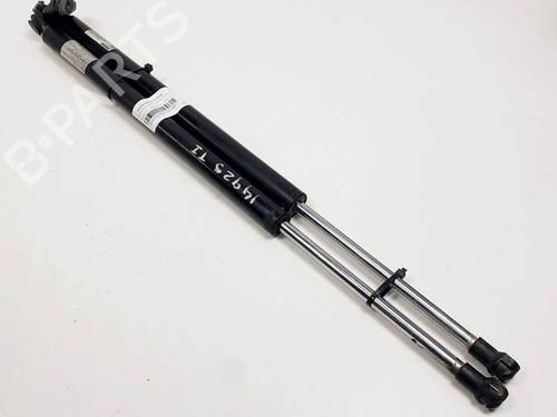 tailgate-lift-support-mazda-cx-7-er-2006-2007-2008-2009-2010-2011-2012-2013-2014-25403755 main image