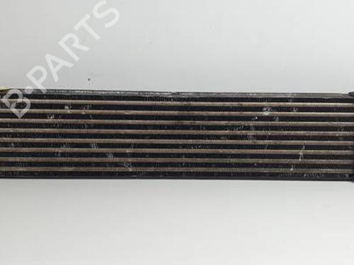 Used Intercooler FIAT DOBLO Bus (263_) 1.3 D Multijet (263AXC1A) (90 hp) 30450588