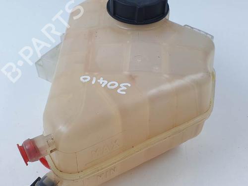 Ekpansionstank FORD KA+ III (UK, FK) 1.2 (70 hp) 29245265