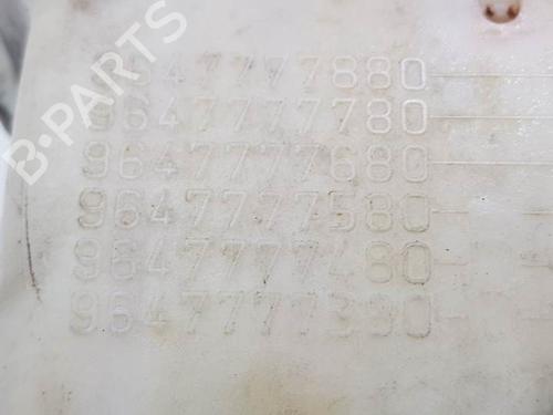 Expansion tank PEUGEOT 206 Hatchback (2A/C) 2.0 HDI 90 | BP11744274C120 