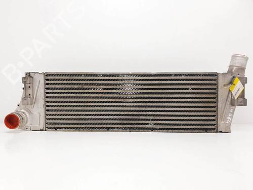 Used Intercooler Intercooler RENAULT MEGANE II Saloon (LM0/1_) 1.9 dCi (LM0G, LM1G, LM2C) (120 hp) 17910668 17910668