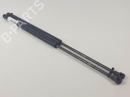 Used Tailgate lift support LAND ROVER DISCOVERY III (L319) 2.7 TD 4x4 (190 hp) 25144365
