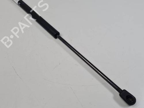 tailgate-lift-support-citroen-c2-jm_-2003-2004-2005-2006-2007-2008-2009-2010-2011-2012-2013-2014-2015-2016-2017-29199063 main image