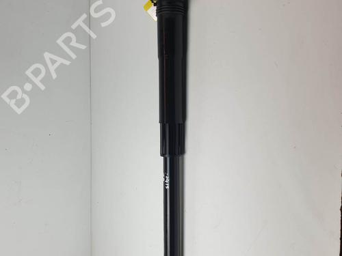 BP26448449M19 main image