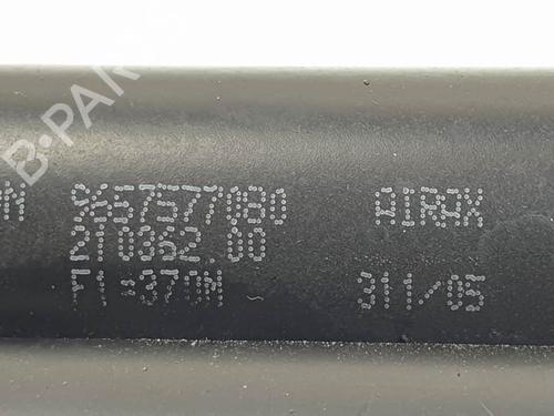 Tailgate lift support CITROËN XSARA PICASSO (N68) 2.0 HDi | BP28208662C138 