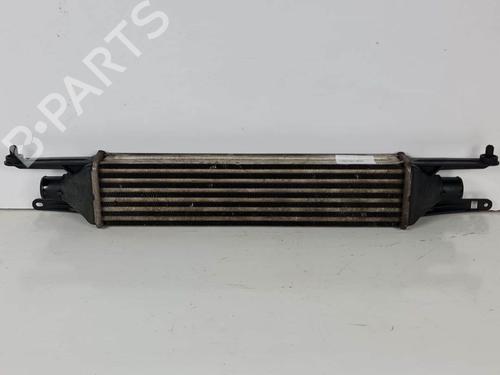 Used Intercooler Intercooler FIAT GRANDE PUNTO (199_) [2005-2026] 7462410 7462410
