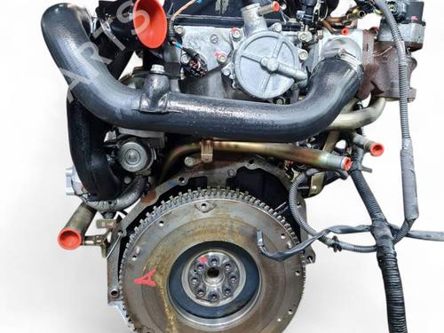 Engine NISSAN ALMERA II Hatchback (N16) 2.2 Di | BP25139954M1 