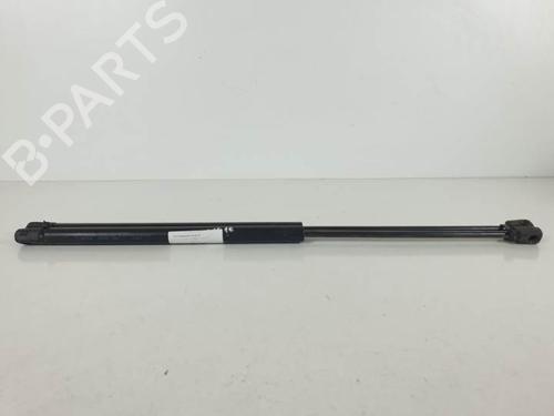 Used Tailgate lift support RENAULT SCÉNIC II (JM0/1_) 1.5 dCi (JM0F) (82 hp) 14977051
