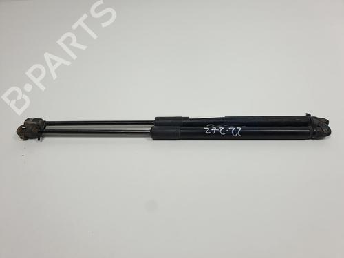 Gasdæmper bagklap RENAULT CLIO III Grandtour (KR0/1_) 1.5 dCi (75 hp) 13954998