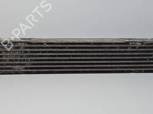 Intercooler RENAULT SCÉNIC III (JZ0/1_) 2.0 dCi (JZ0Y, JZ26) (150 hp) 30450666