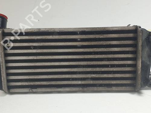 Used Intercooler Intercooler FIAT 500 (312_) 1.3 D Multijet (312AXB1A) (75 hp) 30998590 30998590
