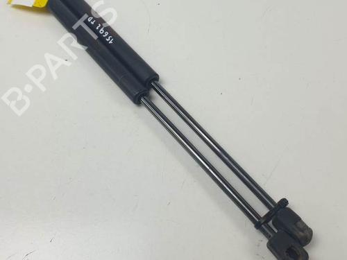Used Tailgate lift support KIA PICANTO II (TA) 1.0 (67 hp) 24933594