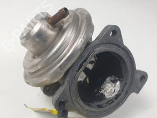 Used Egr SKODA ROOMSTER (5J7) 1.4 TDI (80 hp) 30586260
