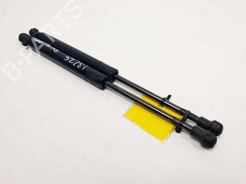 Hood lift support BMW 3 Convertible (E46) 318 Ci | BP16019101C139 