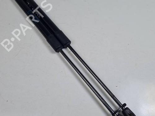 tailgate-lift-support-citroen-c3-aircross-ii-2r_-2c_-2017-31240854 main image