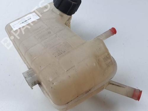 Used Expansion tank RENAULT SCÉNIC II (JM0/1_) 1.4 (JM0B, JM0H, JM1A) (98 hp) 26650255
