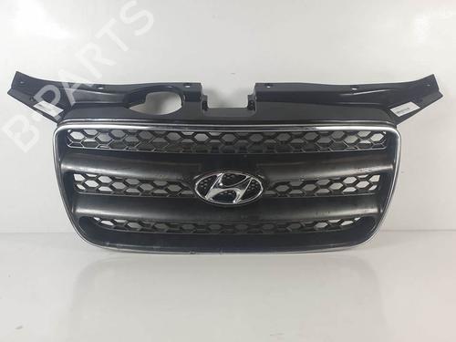 Used Grille Grille HYUNDAI SANTA FÉ II (CM) 2.2 CRDi 4x4 (155 hp) 17812386 17812386