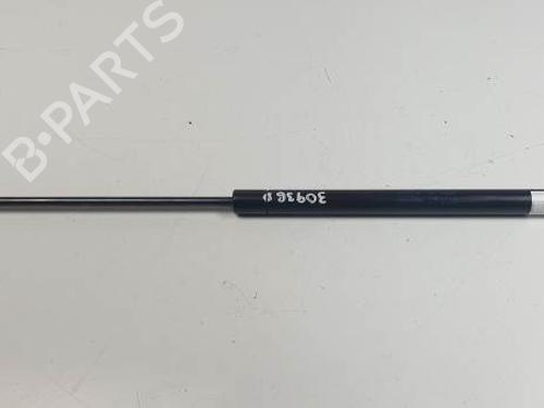 Used Hood lift support SEAT LEON (1M1) 1.9 TDI (90 hp) 28595763