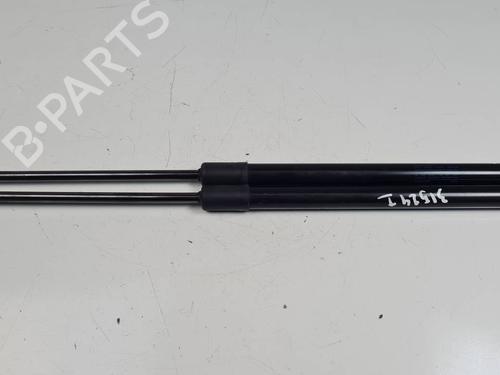 Used Tailgate lift support VW CADDY V Box Body/MPV (SBA, SBH) 2.0 TDi (102 hp) 29763103