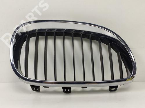 Grill/Gitter BMW 5 Touring (E61) 525 i (192 hp)null