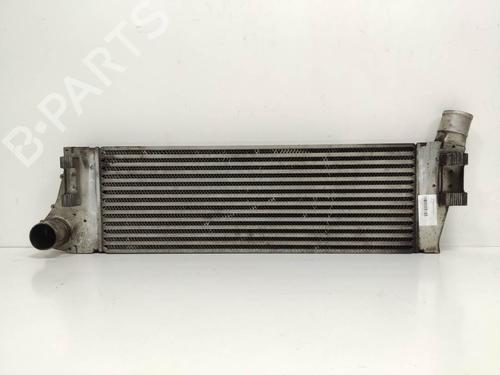 Used Intercooler Intercooler RENAULT SCÉNIC II (JM0/1_) 1.5 dCi (JM1E, JM16) (106 hp) 8822621 8822621