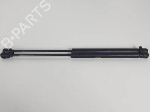 Tailgate lift support RENAULT MEGANE II Coupé-Cabriolet (EM0/1_) 1.9 dCi | BP13955623C138 