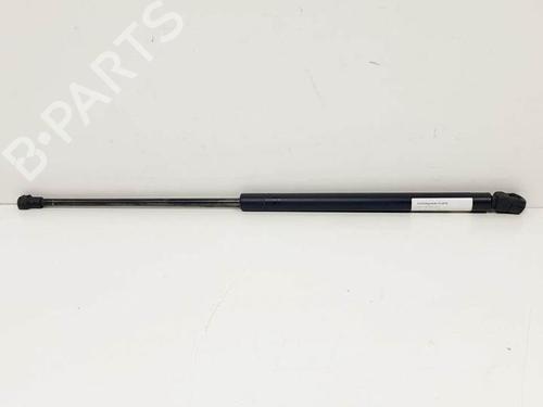 Used Hood lift support VW GOLF IV (1J1) 1.9 TDI (110 hp) 20142866
